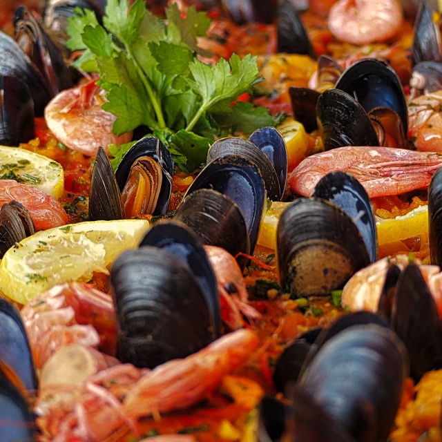 a close up of a plate of food with mussels and shrimp, a mosaic, by Matteo Pérez, pixabay, baroque, rich vivid colors, spanish, wide angle”