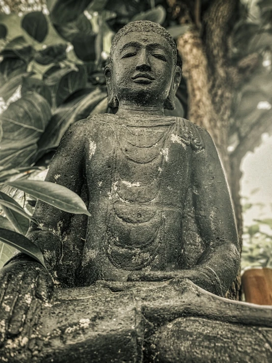 a black and white photo of a buddha statue, a statue, fine art, lush surroundings, covered with tar. dslr, hdr photo, photo taken in 2 0 2 0