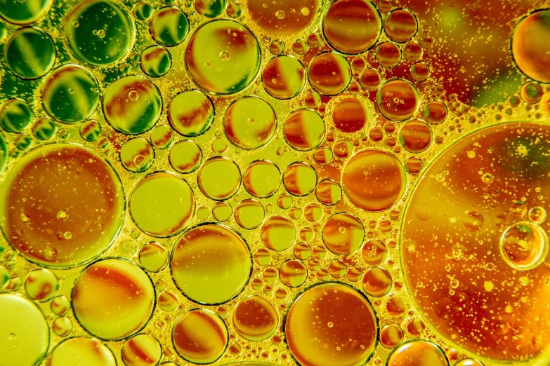 a close up of a mixture of oil and water, a microscopic photo, circles, yellow and green, highly detailed saturated, yellow and red