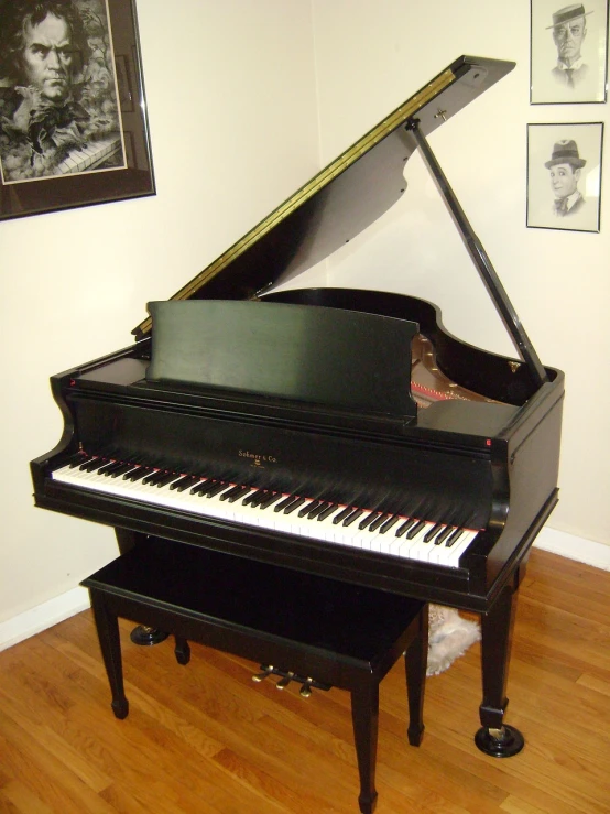 a black piano sitting on top of a hard wood floor, flickr, front and side view, craigslist photo, fully frontal view, angle view