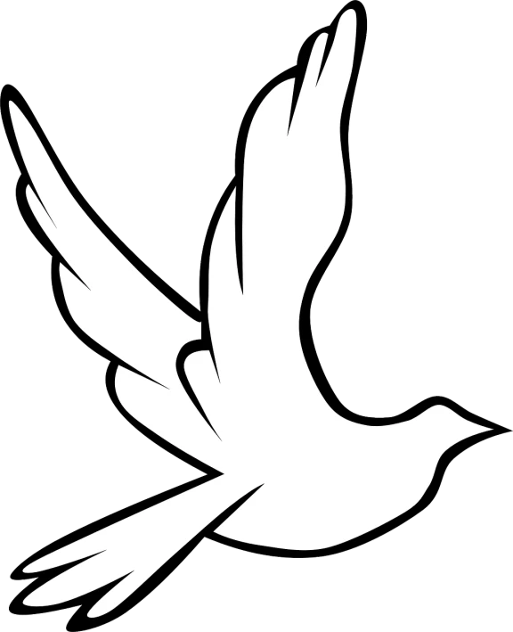 a white bird flying on a black background, vector art, pixabay, hurufiyya, peace sign, matisse caravaggio, right side composition, wallpaper - 1 0 2 4