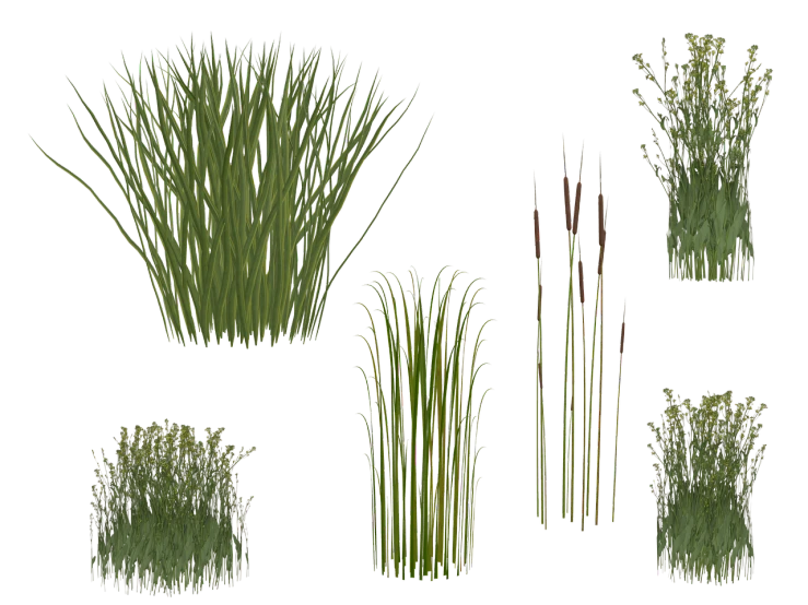 a bunch of different types of grass on a black background, a digital rendering, by Susan Heidi, polycount, lavender plants, made from million point clouds, simple path traced, atlas texture map mecascans