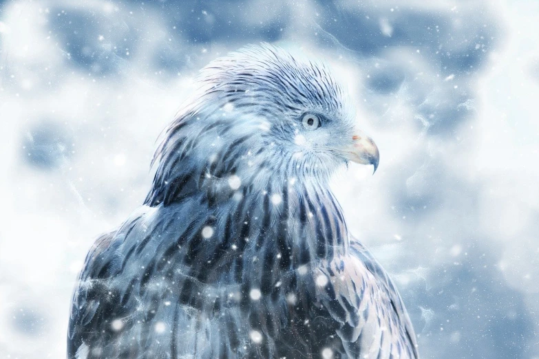 a close up of a bird of prey in the snow, a portrait, inspired by Robert Bateman, shutterstock contest winner, hurufiyya, blurred and dreamy illustration, blue realistic 3 d render, a beautiful artwork illustration, high - key