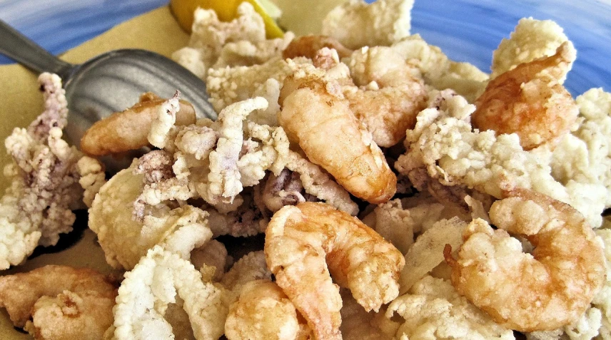 a close up of a plate of food with a spoon, flickr, mingei, shrimps are all over the ground, alabama, battered, pale head