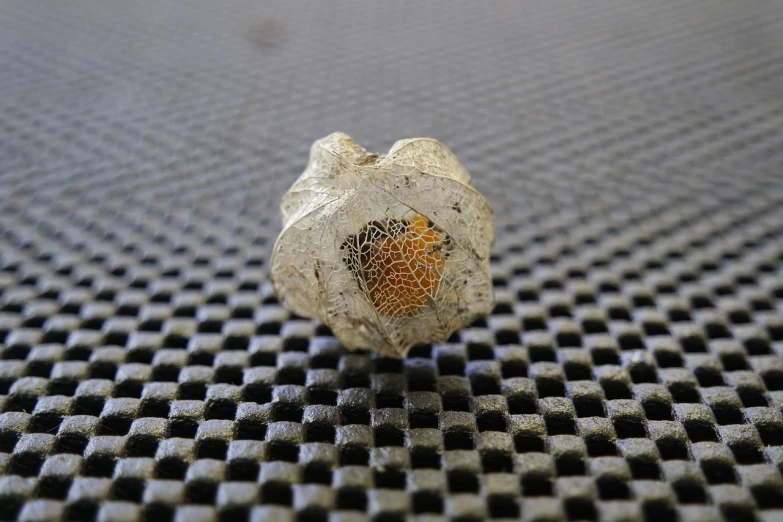 a close up of a tennis ball on a table, a macro photograph, concrete art, clathrus - ruber, intricate mechanical body, small crown, closeup photo