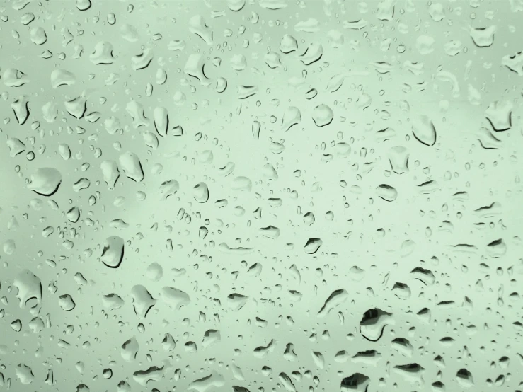a close up of water droplets on a window, a picture, minimalism, pale green background, high details photo
