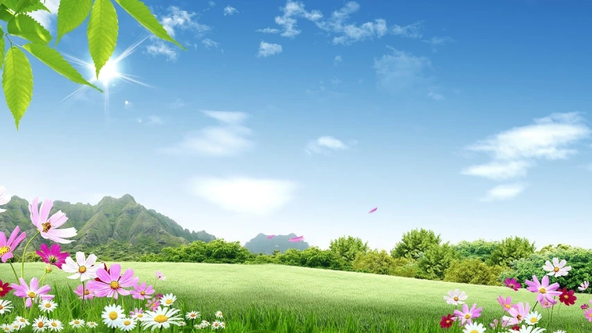 a field full of flowers under a blue sky, a picture, by Ju Lian, deviantart, high definition screenshot, grass mountain landscape, vertical wallpaper, stunning screenshot
