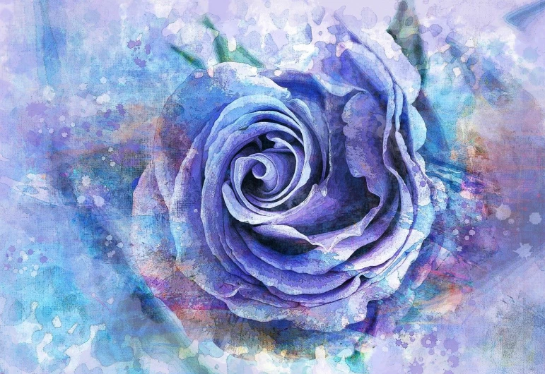 a close up of a purple rose on a blue background, a digital painting, by Cindy Wright, trending on pixabay, romanticism, collage art background, spiralling, detailed watercolor painting, a beautiful artwork illustration