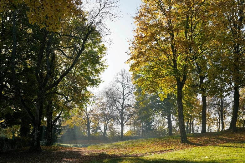 the sun is shining through the trees in the park, by Dietmar Damerau, romanticism, autumn foliage in the foreground, light green mist, wide shot photo, 1789