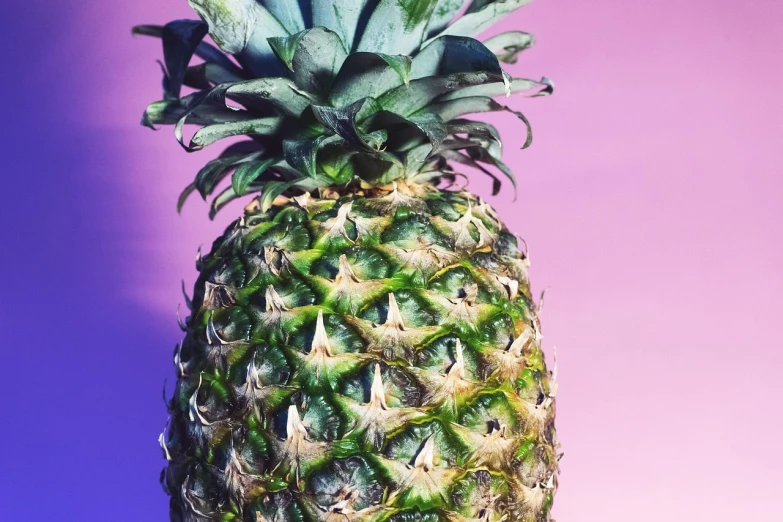 a close up of a pineapple on a table, pexels, hyperrealism, green and purple studio lighting, vaporwave background, stock photo, very sharp photo