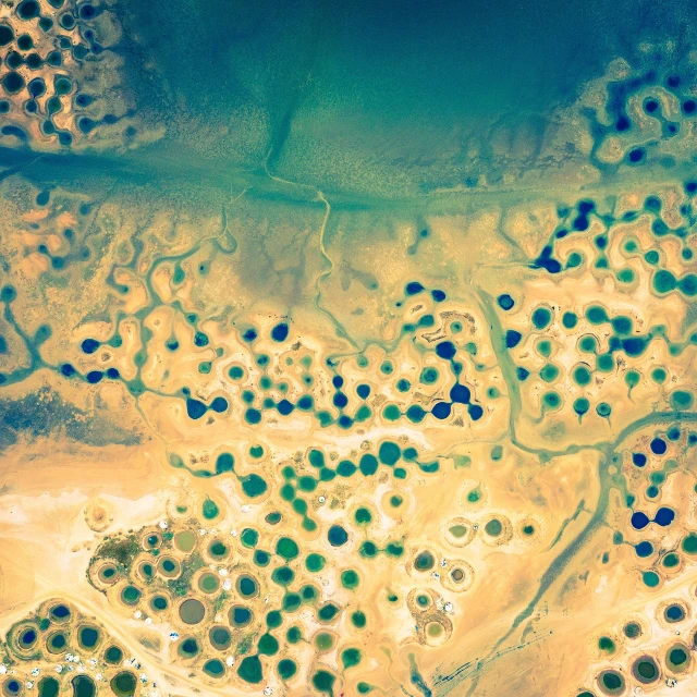 an aerial view of a body of water, a microscopic photo, unsplash, land art, colored dots, desert oasis, high quality product image”