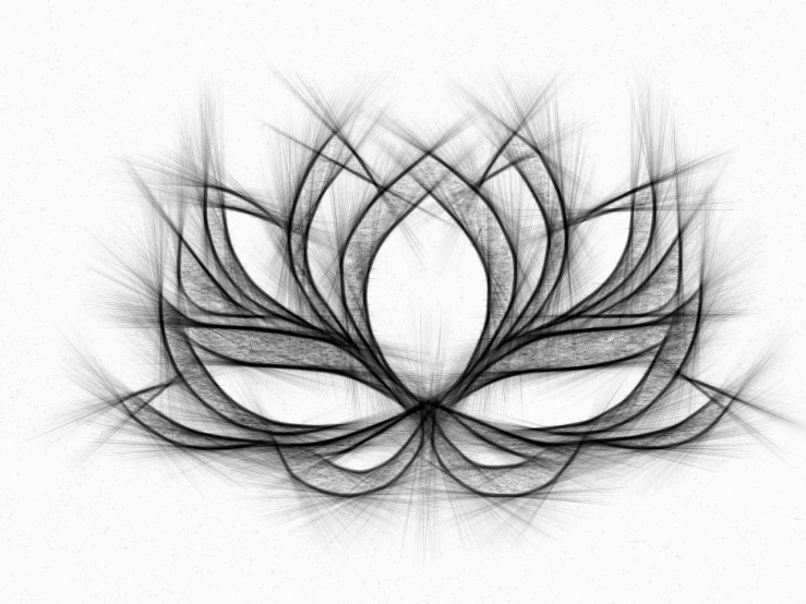 a black and white drawing of a flower, an abstract drawing, by Thomas Crane, generative art, lotus pose, flower mask, simple digital art, nymphaea