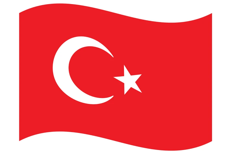 the flag of turkey is waving in the wind, by Nevin Çokay, simple stylized, facing left, zido, center