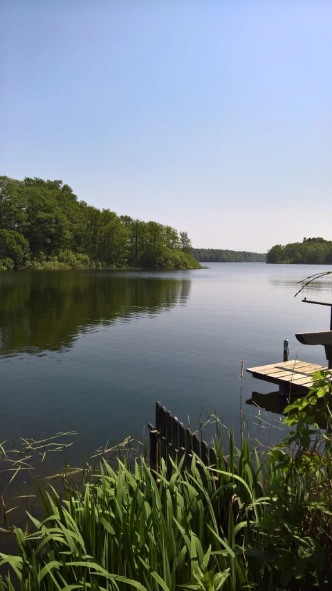 a boat sitting on top of a lake next to a forest, a picture, by Robert Zünd, hurufiyya, perfect spring day with, docks, viewed from very far away, very clear