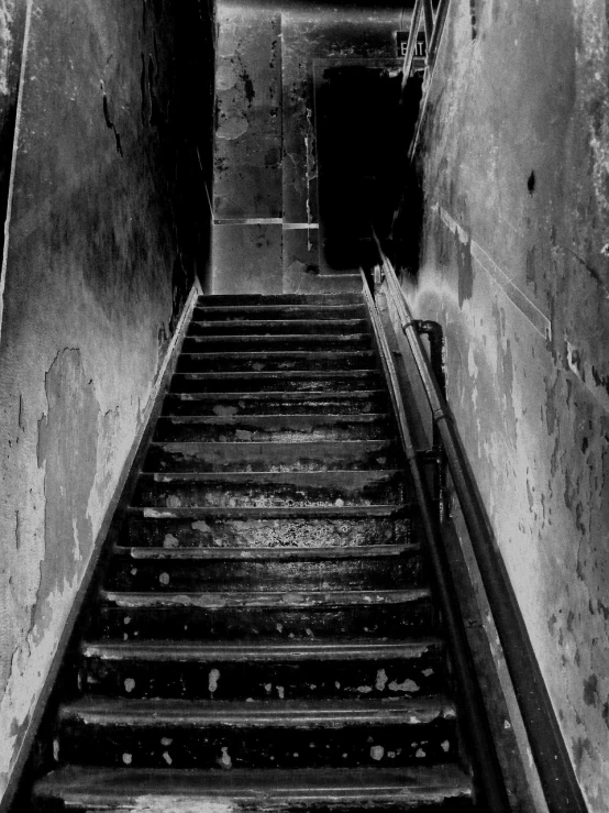 a black and white photo of a set of stairs, a black and white photo, pexels, renaissance, decayed, blair witch project, photo taken at night, basement