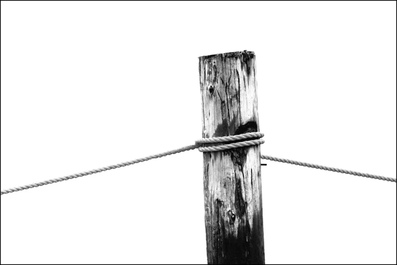 a black and white photo of a wooden post, a picture, by Matthias Weischer, rope, isolated on whites, f/5.6, !! low contrast!!