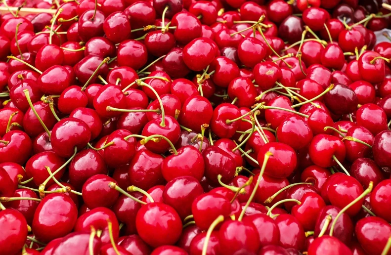 a pile of red cherries sitting on top of each other, 🎀 🗡 🍓 🧚, avatar image, greece, stunning photo