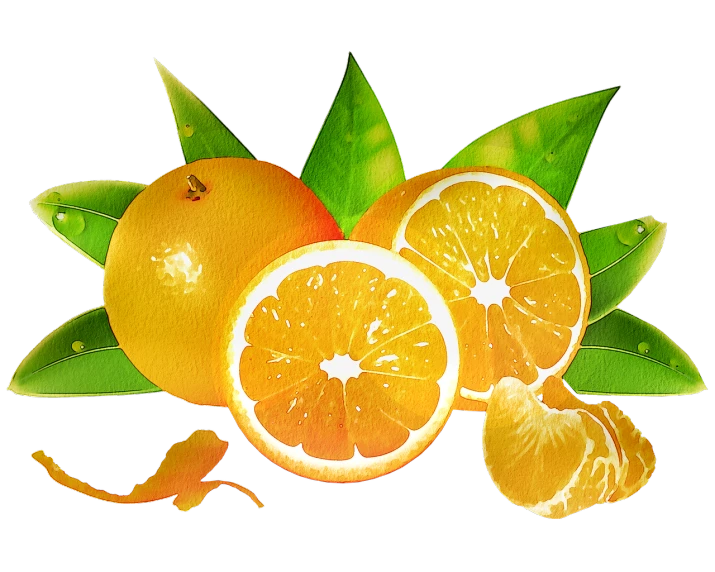 a group of oranges with leaves on a black background, by Ingrida Kadaka, trending on pixabay, digital art, 2006 photograph, made with photoshop, 🐿🍸🍋, cut-scene