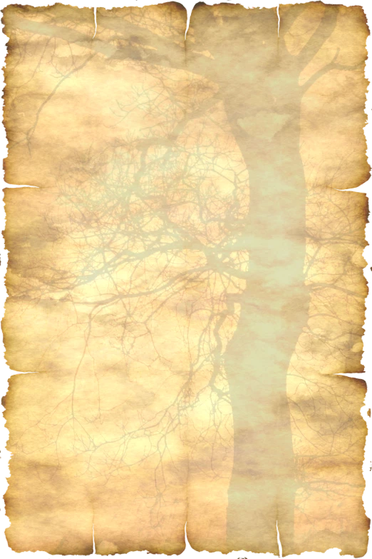 an old piece of paper with a tree on it, a screenshot, inspired by Derold Page, baroque, scratched photo