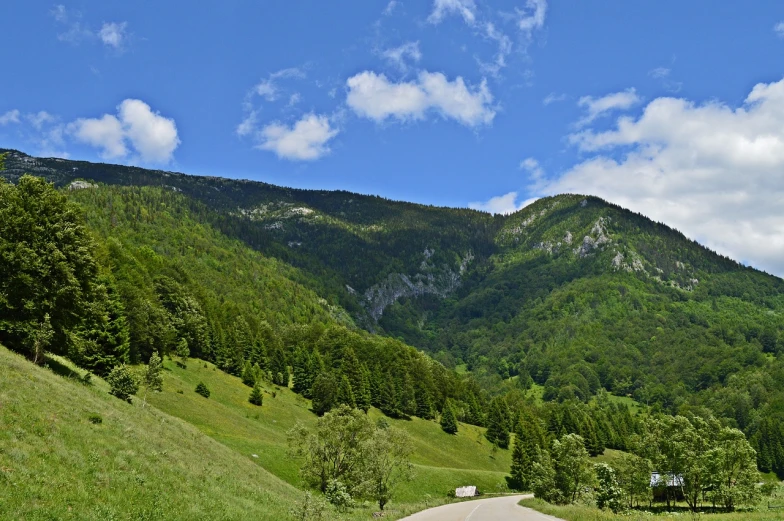 a car driving down a road with a mountain in the background, by Erwin Bowien, flickr, les nabis, forest on the horizont, panoramic widescreen view, slovenian, blue sky and green grassland