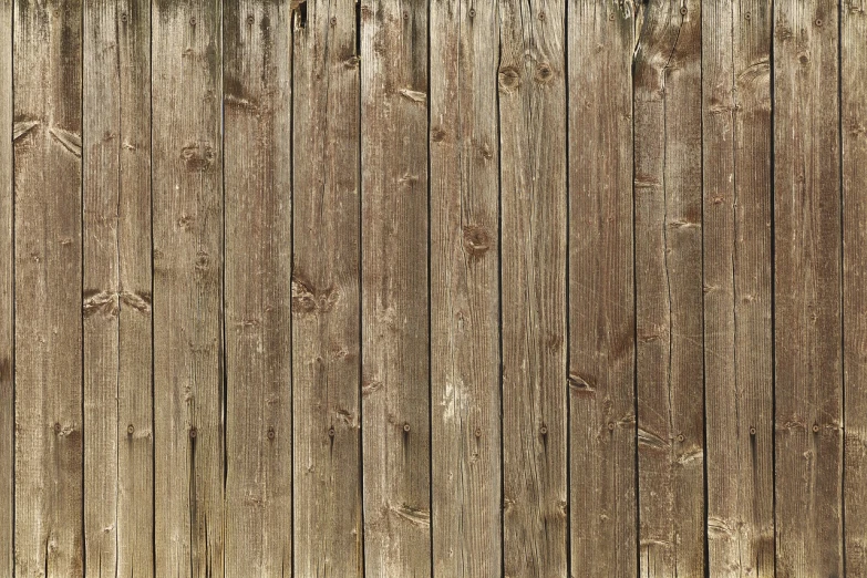 a fire hydrant sitting in front of a wooden fence, a stock photo, shutterstock, renaissance, wood texture overlays, stubble, 1840, elevation