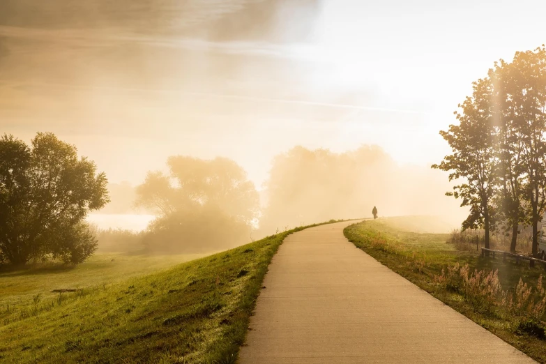 a person riding a bike down a path on a foggy day, sun rising, beside the river, walking toward you, pathways