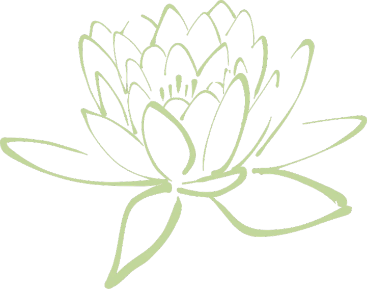 a drawing of a lotus flower on a black background, pale green backlit glow, clean black outlines, side, oct