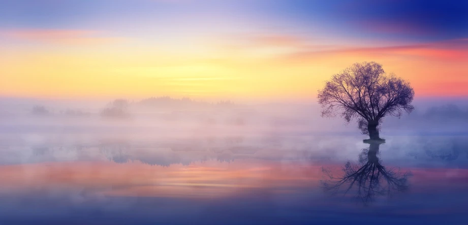 a tree that is standing in the water, inspired by Johan Jongkind, pexels contest winner, romanticism, light orange mist, blue fog, soft purple glow, sunlight reflected on the river