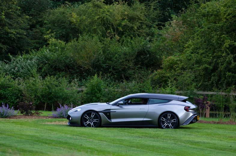 a silver sports car parked on top of a lush green field, renaissance, aston martin, nomad masterpiece, f / 8, f12