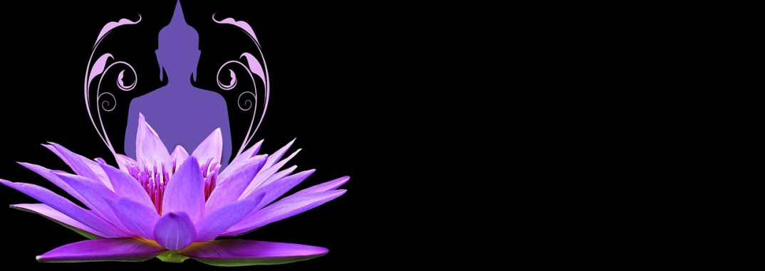 a purple flower in front of a black background, digital art, header, logo without text, sitting down, lily