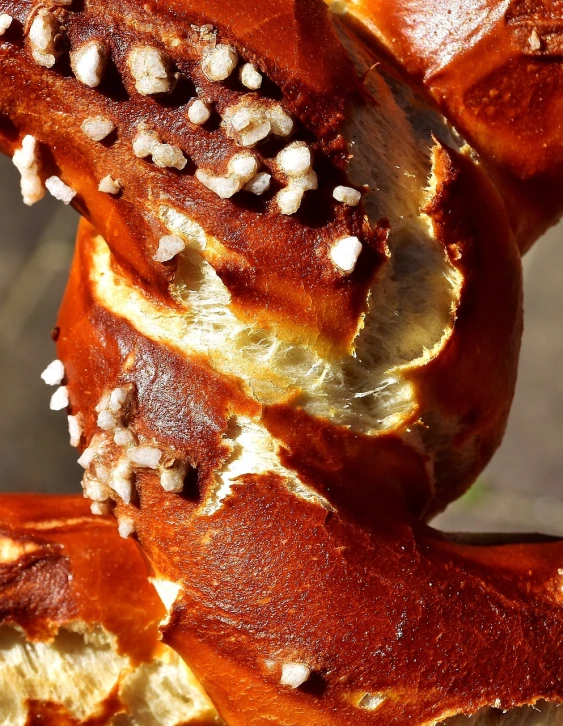 a pile of pretzels sitting on top of each other, a macro photograph, hurufiyya, cracked varnish, thorns, with bread in the slots, épaule devant pose