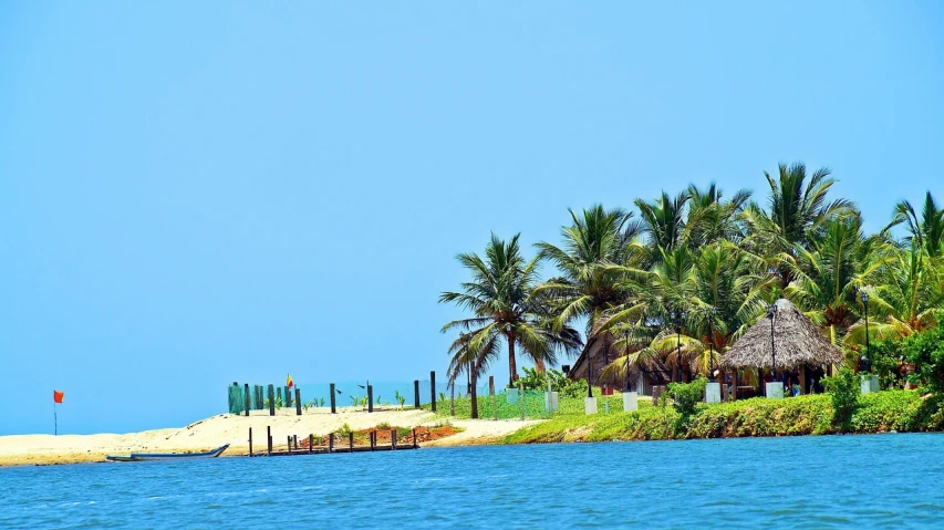 a group of palm trees sitting on top of a beach next to a body of water, by Max Dauthendey, flickr, hurufiyya, photo taken from a boat, green and blue colors, near a jetty, !!natural beauty!!