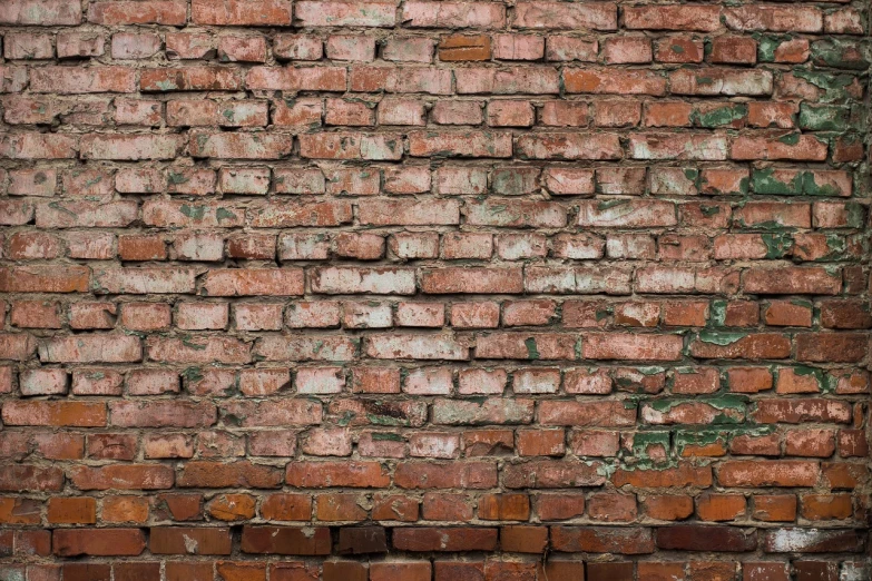 a fire hydrant sitting in front of a brick wall, a stock photo, shutterstock, fine art, seamless texture, cracked brick wall, 35mm —w 1920 —h 1080, transparent background