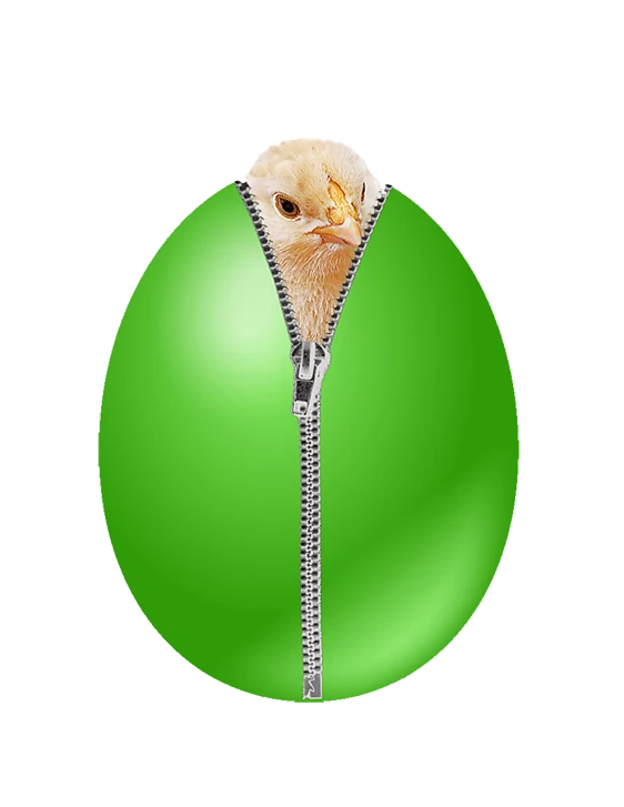 a chicken sticking its head out of a zipper, a screenshot, by Anna Füssli, trending on pixabay, green pupills, eggshell color, made in photoshop, thunderbird 2