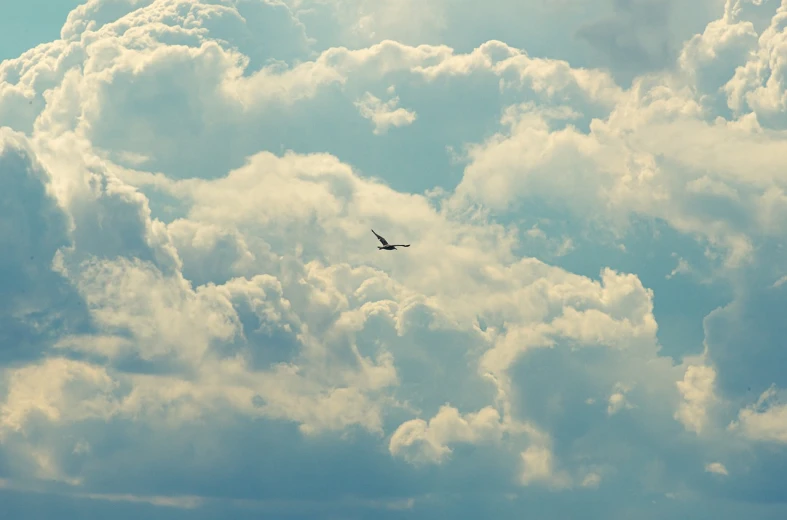 a plane flying through a cloudy blue sky, a photo, an eagle flying, serene overcast atmosphere, summer morning, high res photo