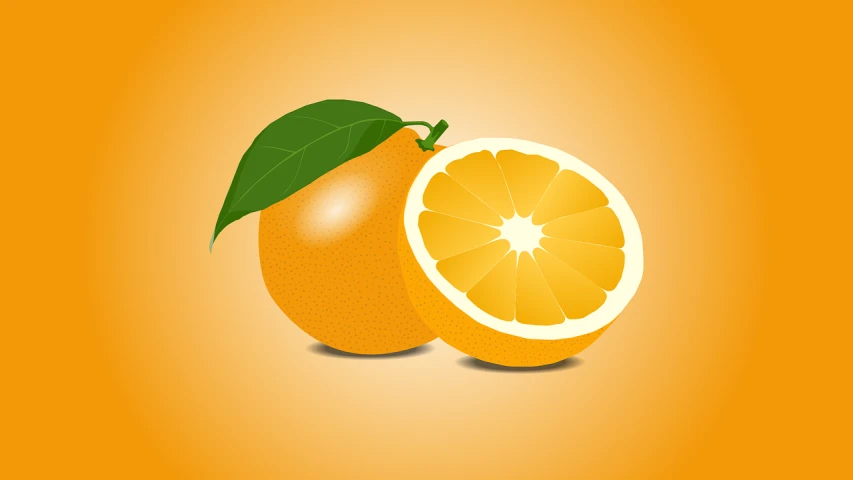 a couple of oranges sitting next to each other, digital art, clean and simple design, a beautiful artwork illustration, smooth in _ the background, vector images