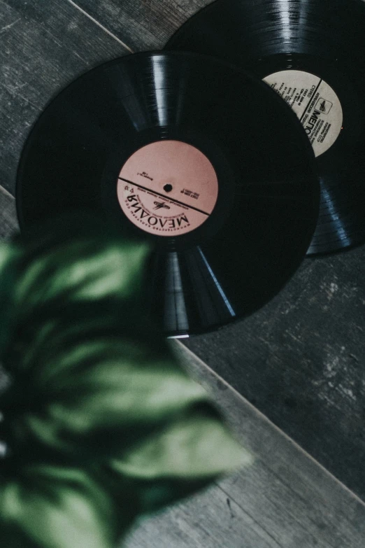 a record sitting on top of a wooden floor next to a plant, by Emma Andijewska, unsplash, 1950s vibes, various artists, background image, zoomed in