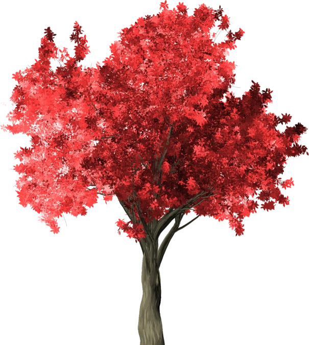 a tree with red leaves on a black background, a raytraced image, digital art, infrared photography, high definition screenshot, colored accurately, grayscale phtoto with red dress