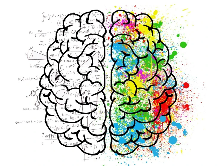 a drawing of a left and right brain, shutterstock, analytical art, penned with thin colors on white, paint splatter, stock photo, georges mathieu