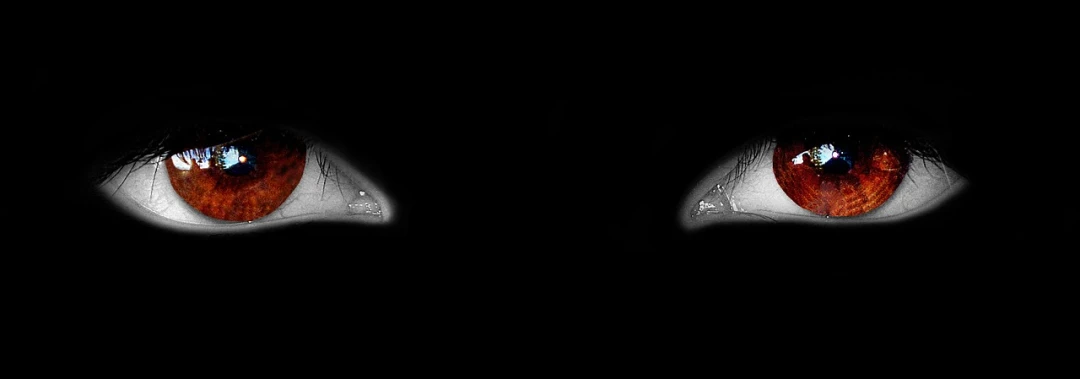 a close up of a person's eyes in the dark, a black and white photo, inspired by Anna Füssli, featured on zbrush central, conceptual art, butterfly squid, adult pair of twins, nasa photo, image dataset