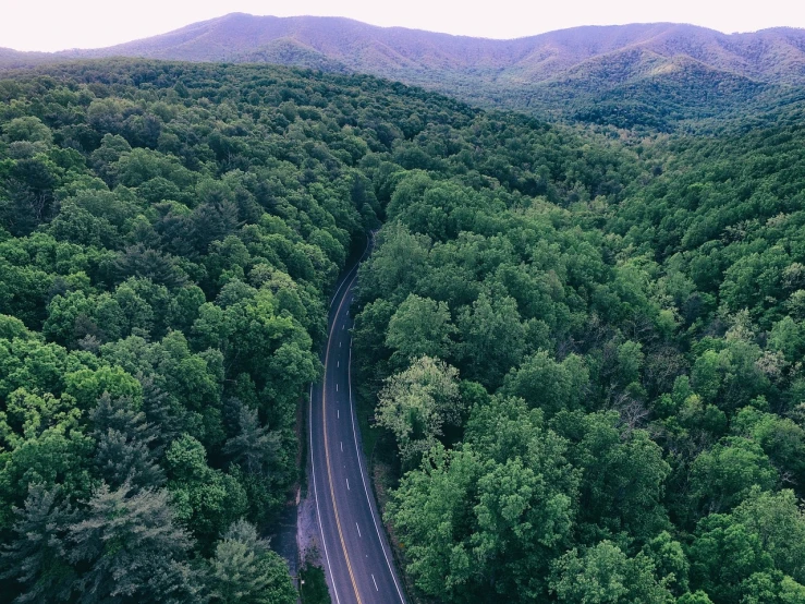 an aerial view of a road surrounded by trees, by Matt Cavotta, appalachian mountains, lush forest in background, hill with trees, william penn state forest