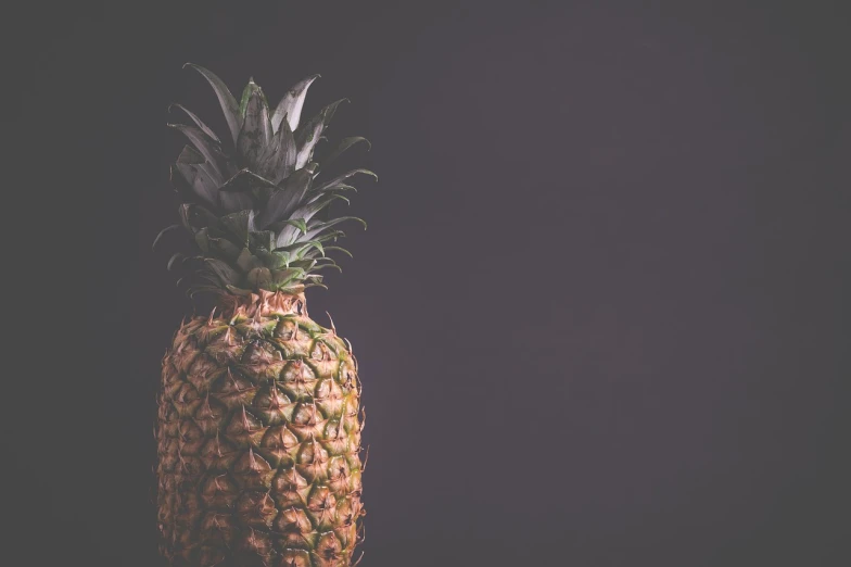 a pineapple sitting on top of a table, a stock photo, on a flat color black background, from the waist up, gritty feeling, half body photo