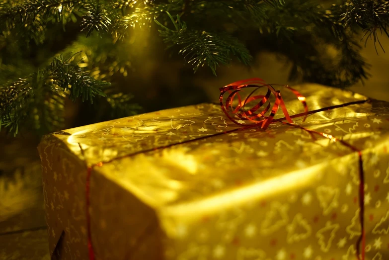 a gift wrapped in gold paper under a christmas tree, by Erwin Bowien, happening, golden hour closeup photo, depth detail, taken with canon eos 5 d, 1128x191 resolution