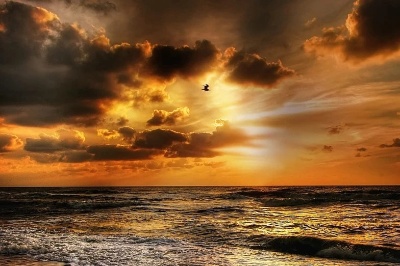 a bird flying over the ocean at sunset, a picture, by Eugeniusz Zak, hdr!, heaven on earth, golden clouds, ((sunset))