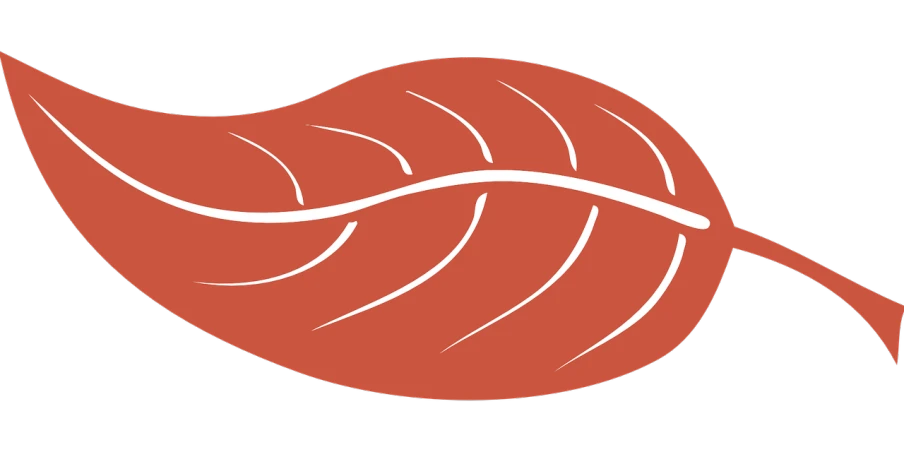 a close up of a leaf on a black background, a digital rendering, inspired by Masamitsu Ōta, sōsaku hanga, ground red meat, salmon, icon, clipart