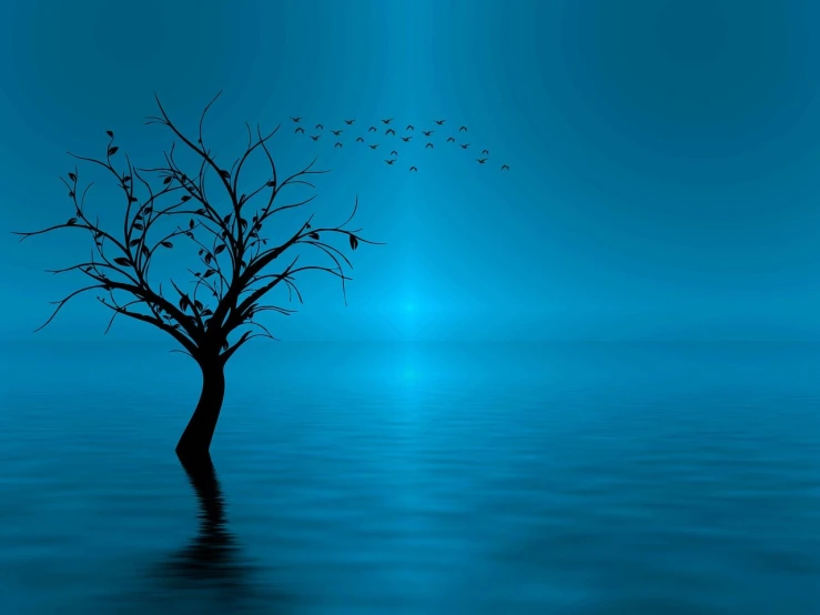 a tree in the middle of a body of water, inspired by Eyvind Earle, pixabay contest winner, minimalism, blue night, birds flying in the distance, stock photo, smooth composition