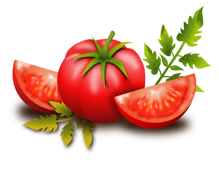 a tomato and two slices of tomato with a sprig of parsley, pixabay, digital art, on a flat color black background, vegetable foliage, cut-scene, artistic depiction