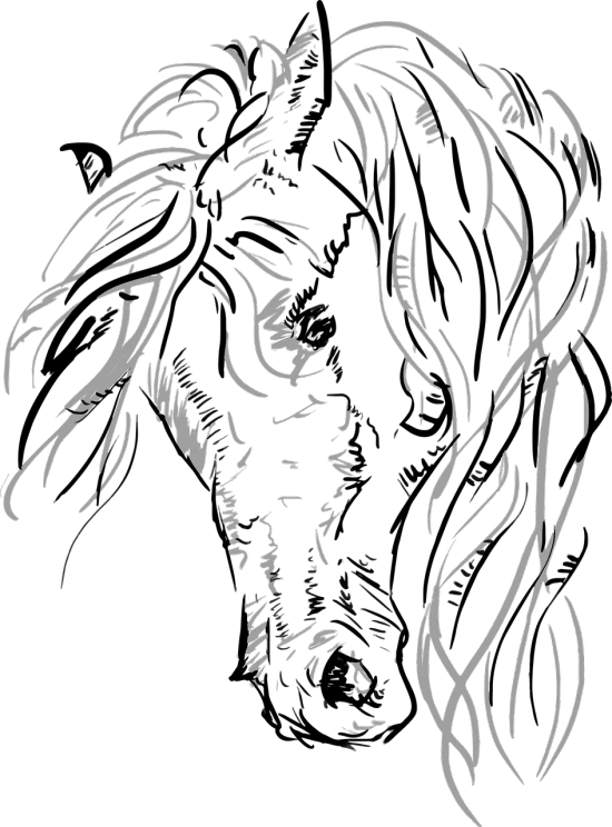 a black and white drawing of a horse's head, inspired by Giger, digital art, long dreadlocks, full body shot close up, black backround. inkscape, style of bernie wrightson