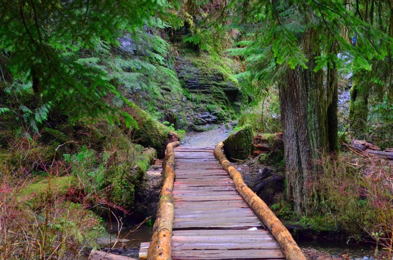 a wooden bridge over a stream in a forest, a picture, by Jim Nelson, shutterstock, haida, hiking trail, set photo, bad photo