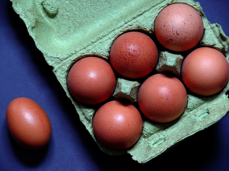 a carton of eggs sitting on top of a blue table, by László Balogh, flickr, organic detail, slightly red, on black background, a green